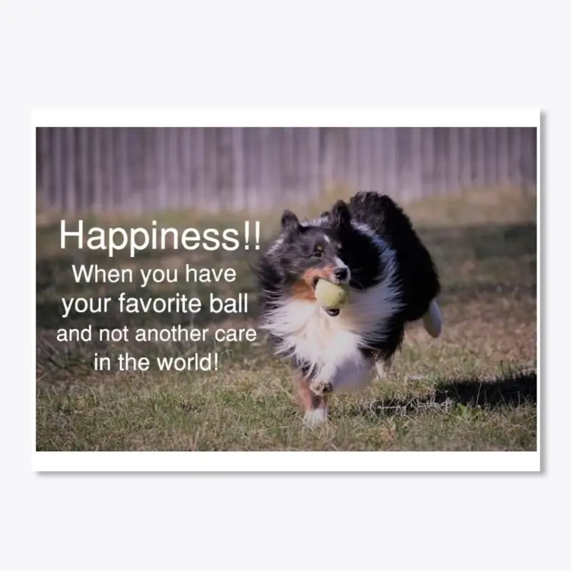 Shetland Sheepdog "Happiness!"