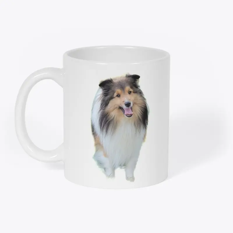 Shetland Sheepdog Sable Sheltie